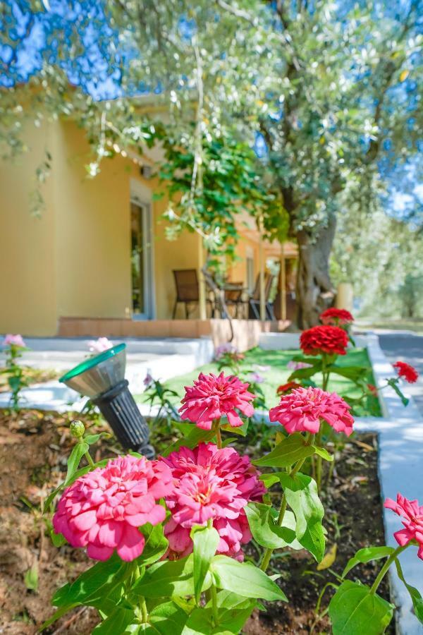 Kritiri House Villa Skala Kallirakhis Bagian luar foto